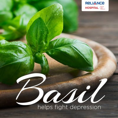Benefits of Basil