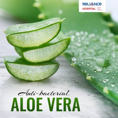 Aloe Vera: Anti Bacterial and more!