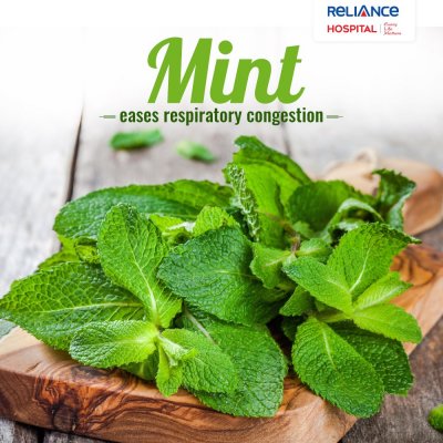 Mint Leaves: A natural decongestant 