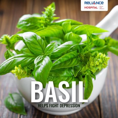 Benefits of Basil