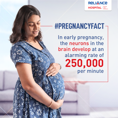 Pregnancy Fact