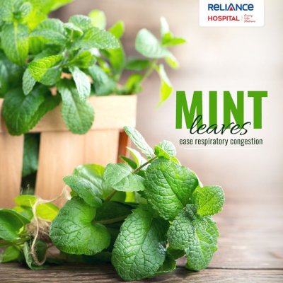 Benefits of mint leaves 