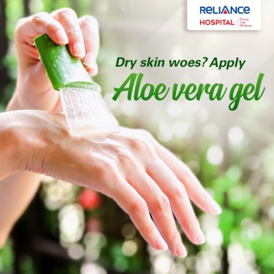 Apply aloe vera gel for dry skin 