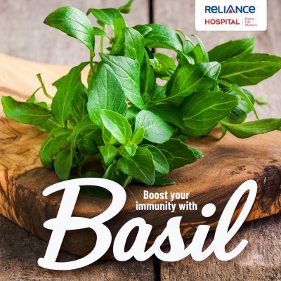 Boost your immunity with Basil