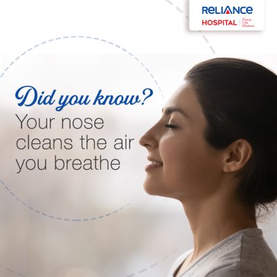 Did you know? Your nose cleans the air you breath 